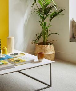 Artic Grey Sensation Deep Pile