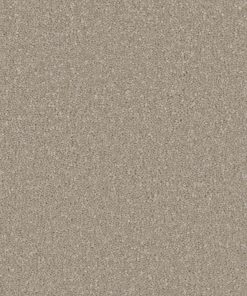 Grey Deep Pile Carpet Belfast