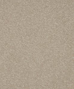 Ventura Cream Deep Pile Carpet Belfast