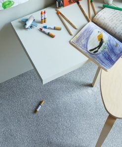 Deep Pile Carpet Belfast